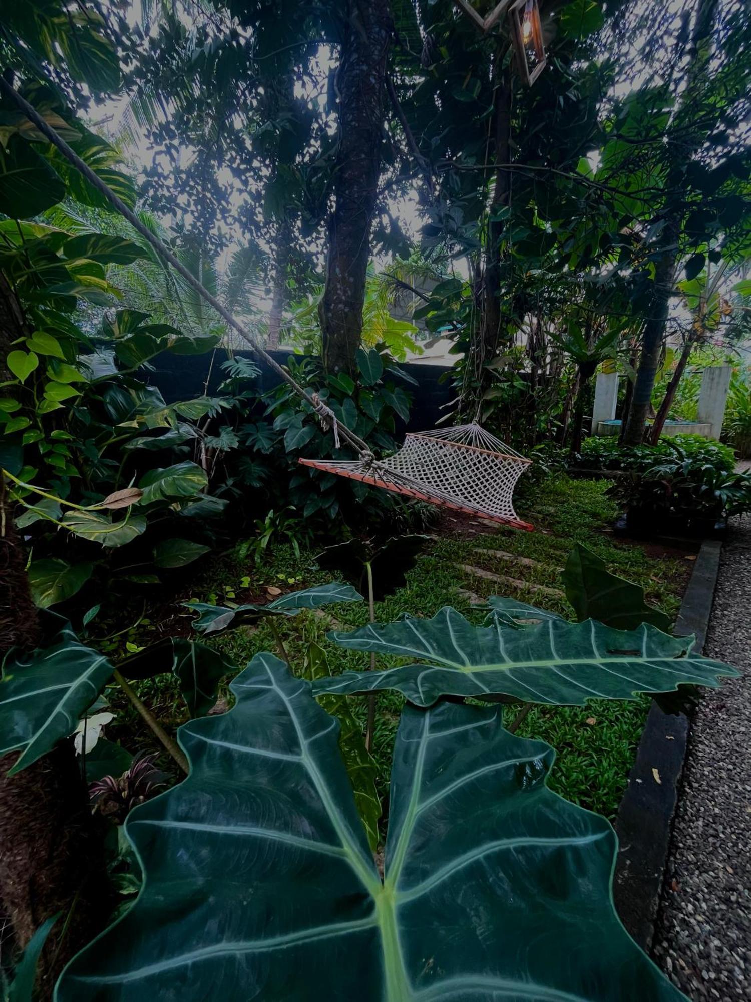 Bodhi Garden Villa In فاركَالا المظهر الخارجي الصورة